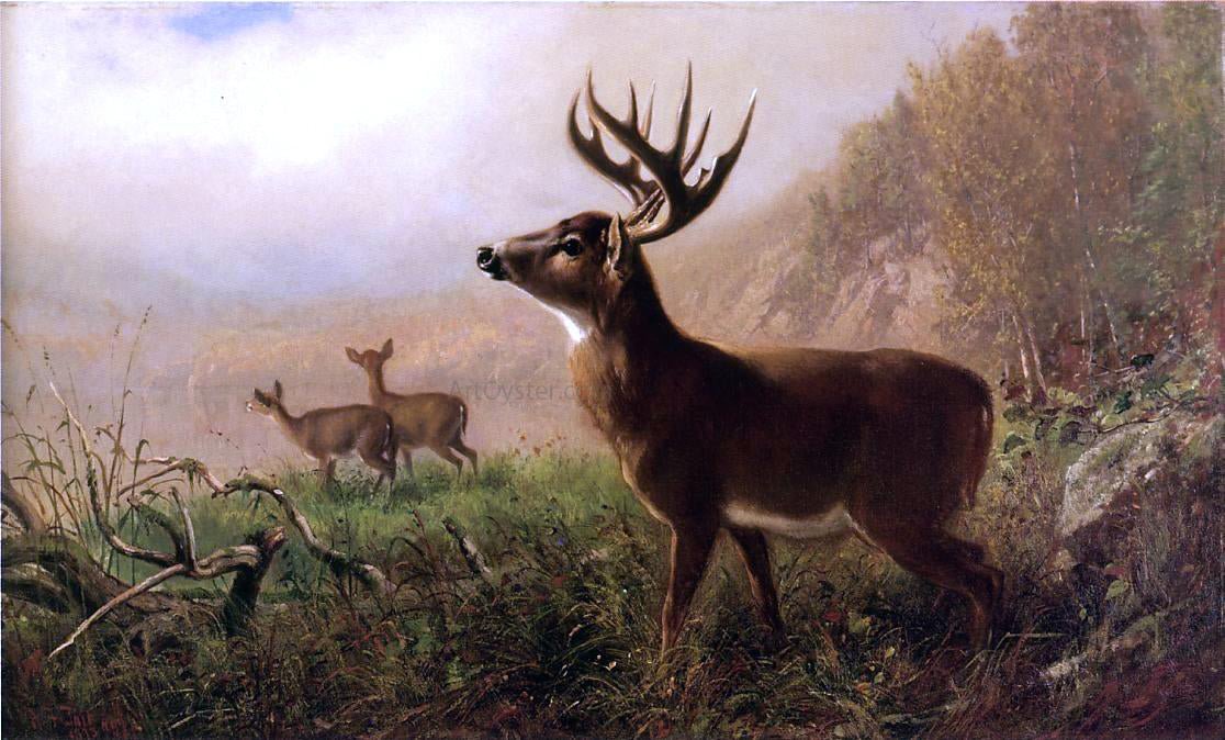 Arthur Fitzwilliam Tait A Tempting Shot - Canvas Print