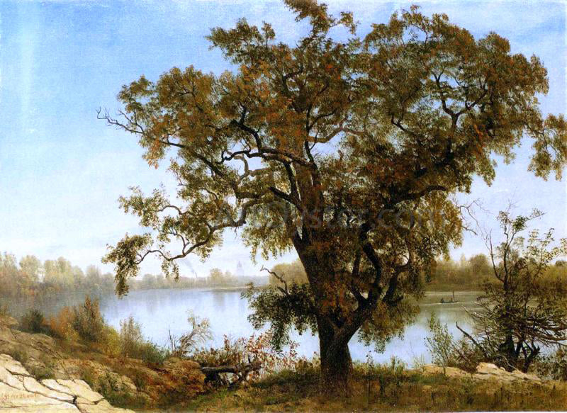 Albert Bierstadt A View from Sacramento - Canvas Print