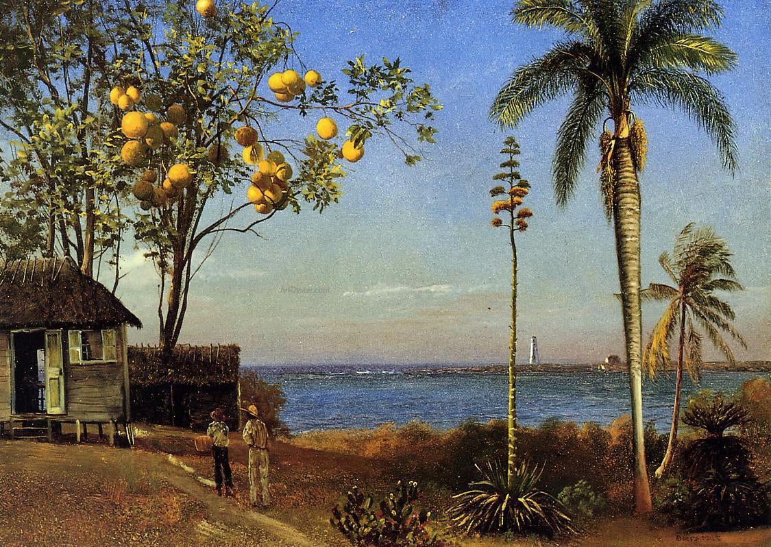 Albert Bierstadt A View in the Bahamas - Canvas Print