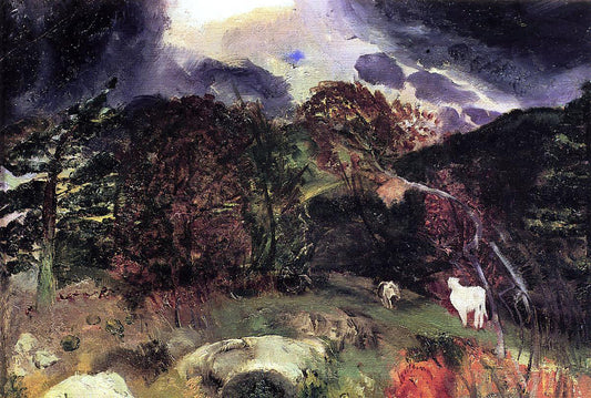 George Wesley Bellows A Wild Place - Canvas Print