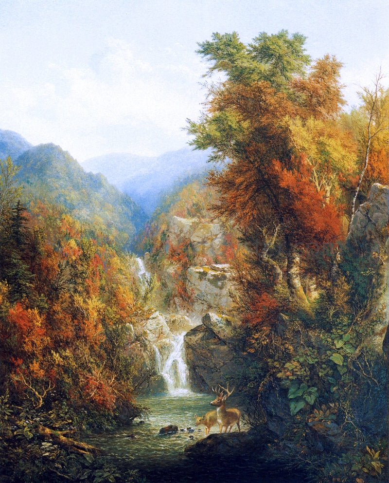 Homer Dodge Martin A Wilderness Pool - Canvas Print