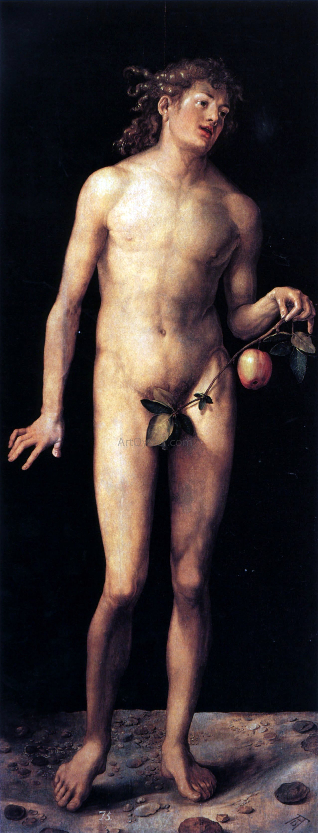 Albrecht Durer Adam - Canvas Print
