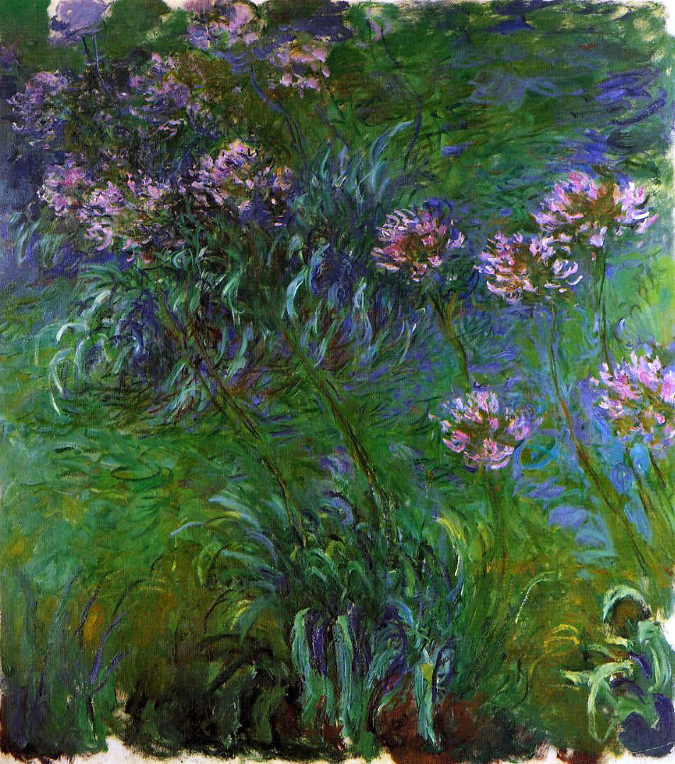 Claude Oscar Monet Agapanathus - Canvas Print