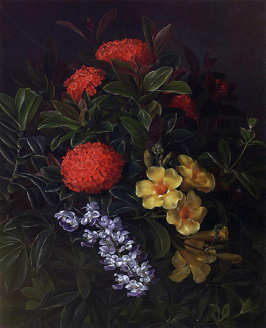 Johan Laurentz Jensen Allemanda, Ixora and Orchids - Canvas Print