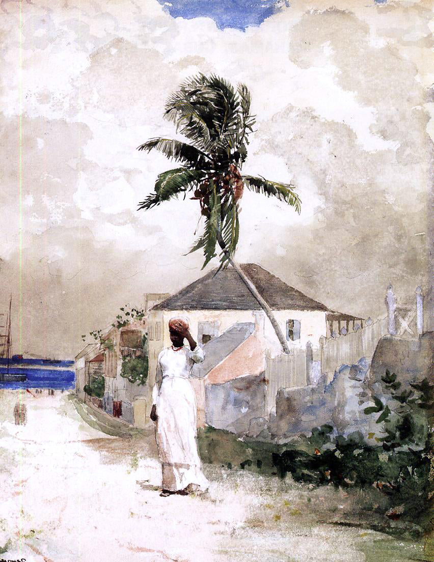Winslow Homer Along the Road, Bahamas - Canvas Print