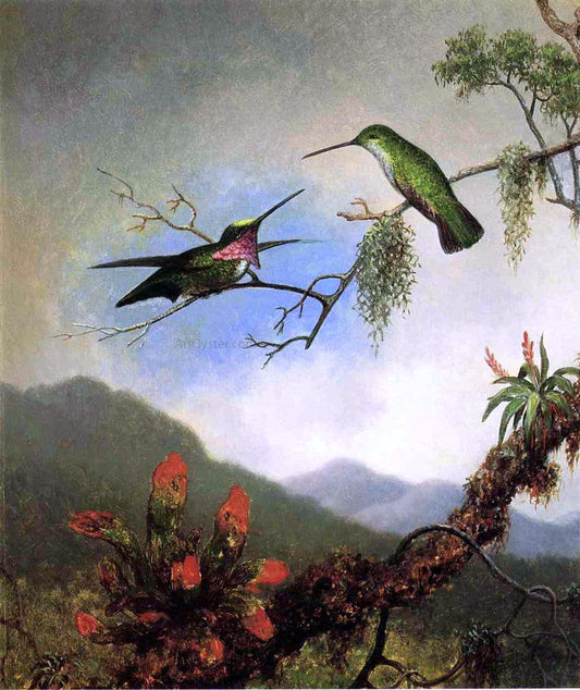 Martin Johnson Heade Amethyst Hummingbirds - Canvas Print