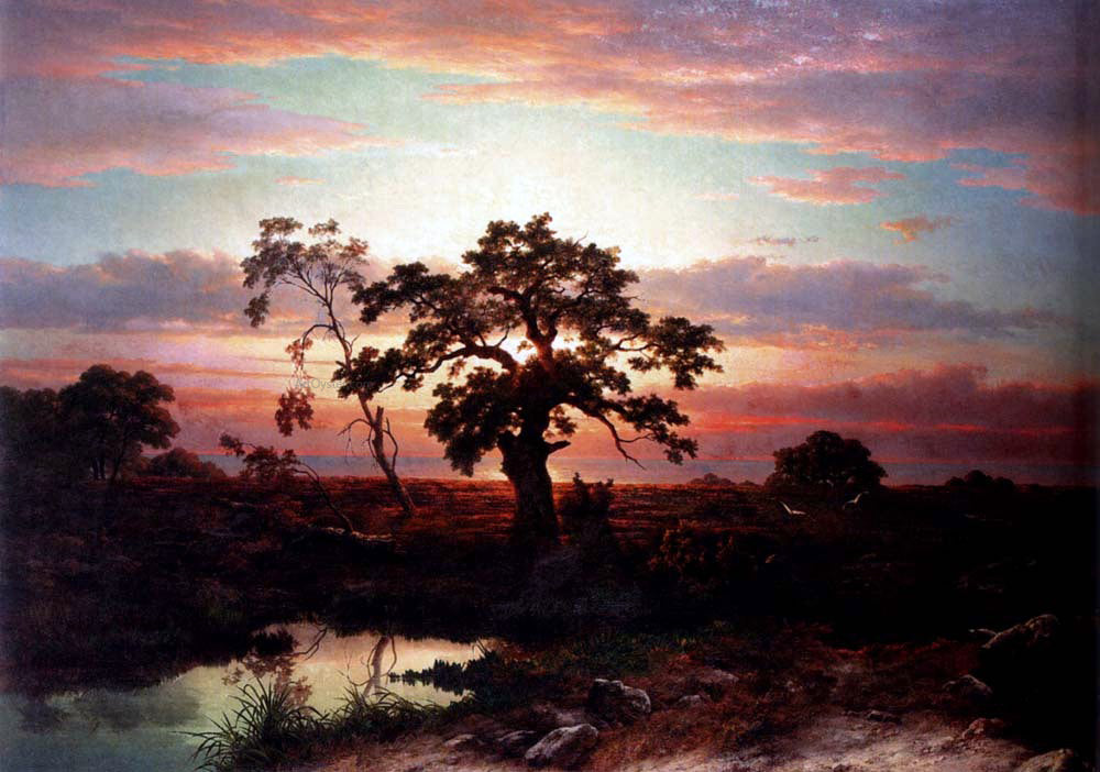 Louwrens Hanedoes An Oak In An Extensive Coastal Landscape At Dusk Near Le Havre - Canvas Print
