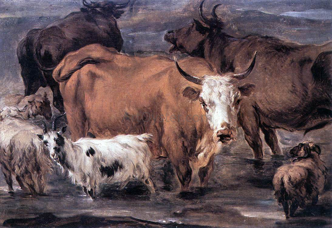 Nicolaes Berchem Animal Study - Canvas Print
