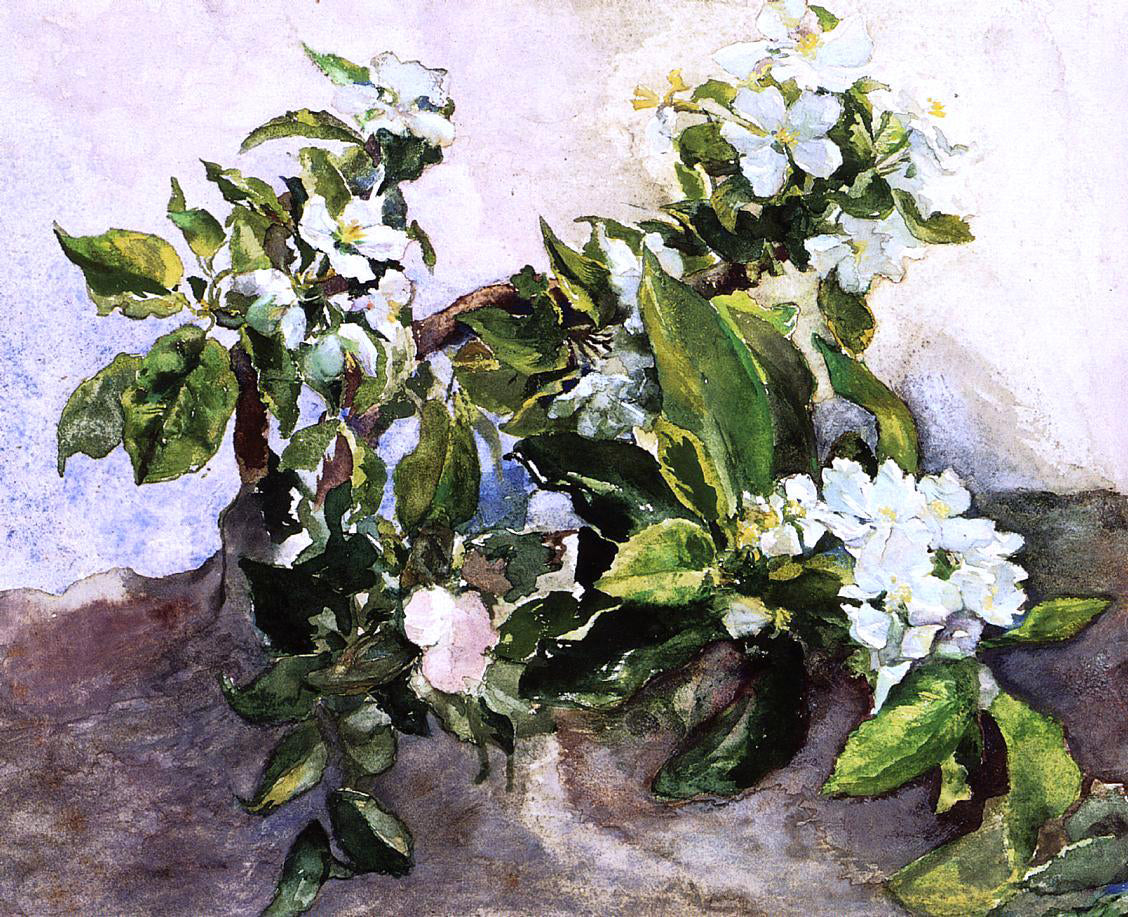 John La Farge Apple Blossoms - Canvas Print