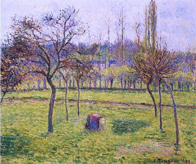 Camille Pissarro Apple Trees in a Field - Canvas Print