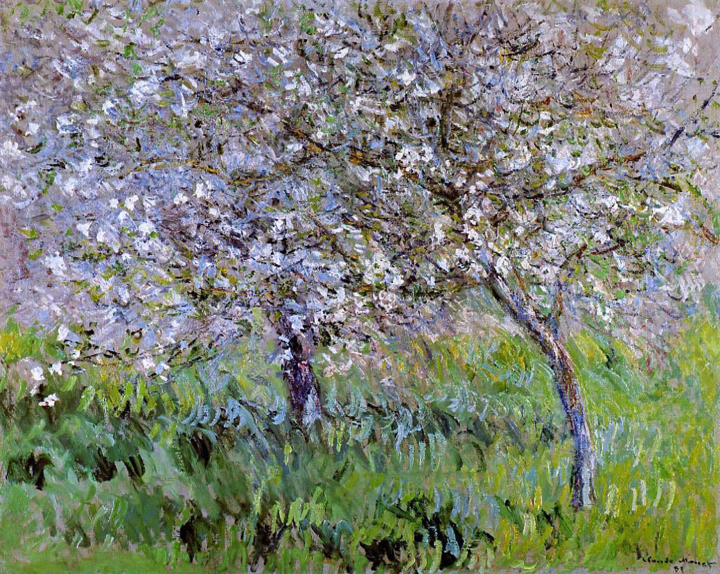 Claude Oscar Monet Apple Trees in Bloom at Giverny - Canvas Print