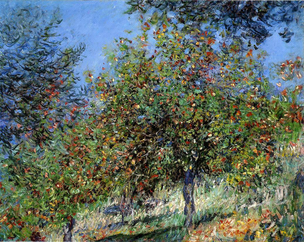 Claude Oscar Monet Apple Trees on the Chantemesle Hill - Canvas Print