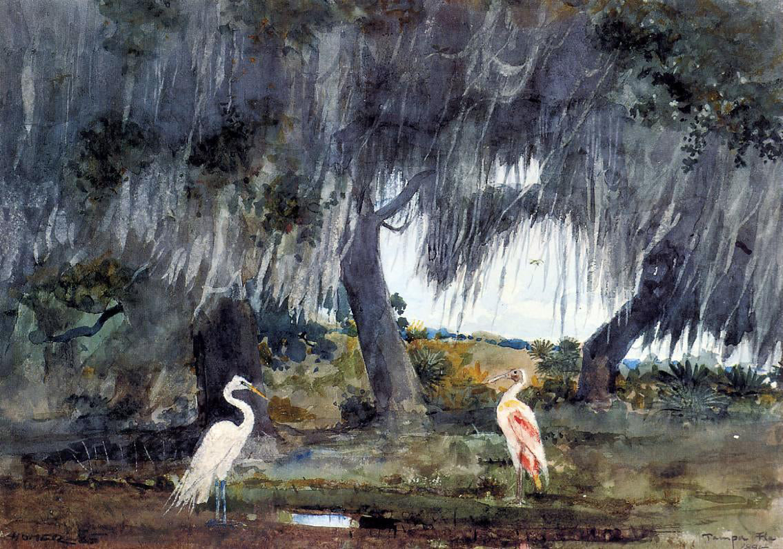 Winslow Homer At Tampa - Canvas Print