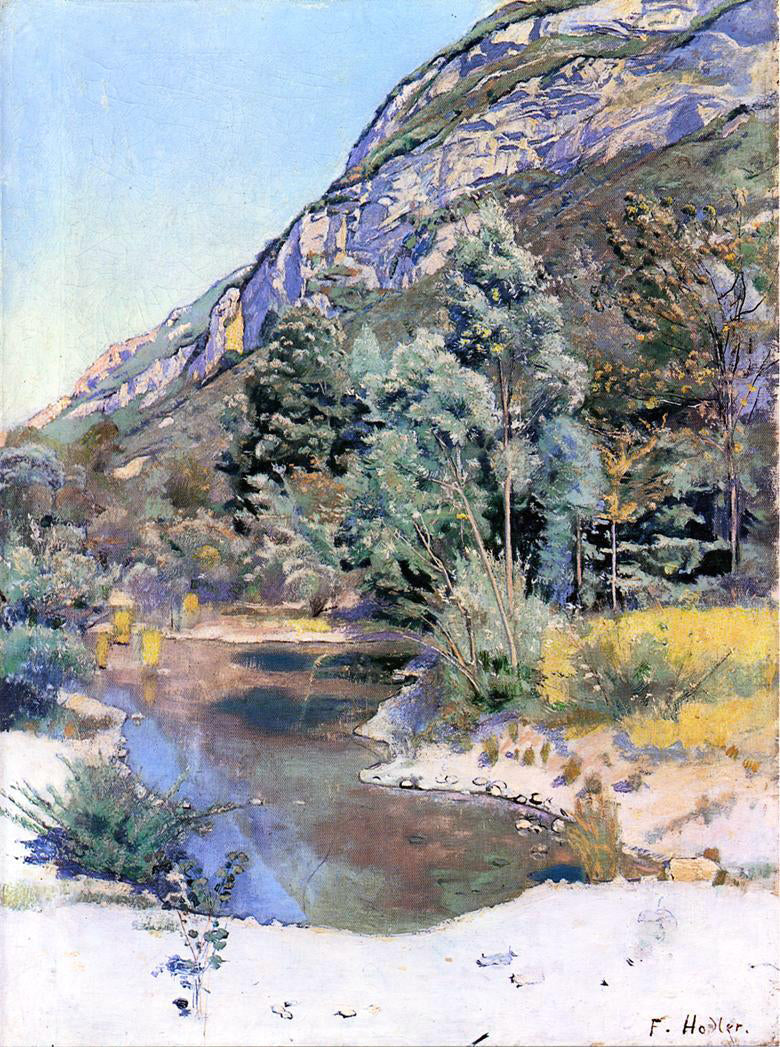 Ferdinand Hodler At the Foot of Mr. Saleve - Canvas Print