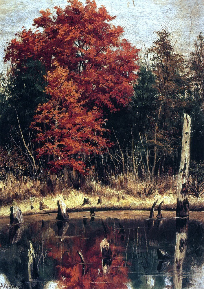 William Aiken Walker Autumn Wood in North Carolina with Tree Stumps in Water - Canvas Print