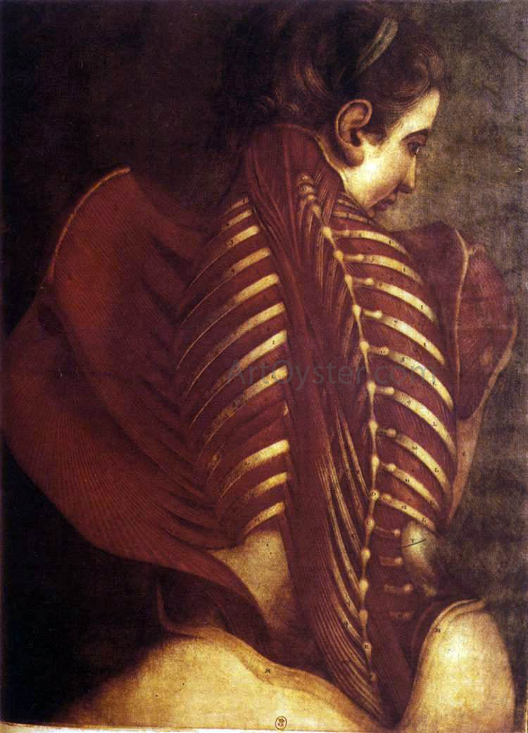 Jacques-Fabien Gautier-Dagoty Back of Female - Canvas Print