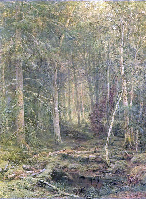 Ivan Ivanovich Shishkin Backwoods - Canvas Print
