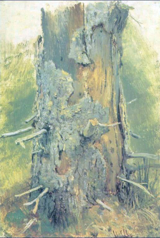 Ivan Ivanovich Shishkin Bark on dry up tree (etude) - Canvas Print