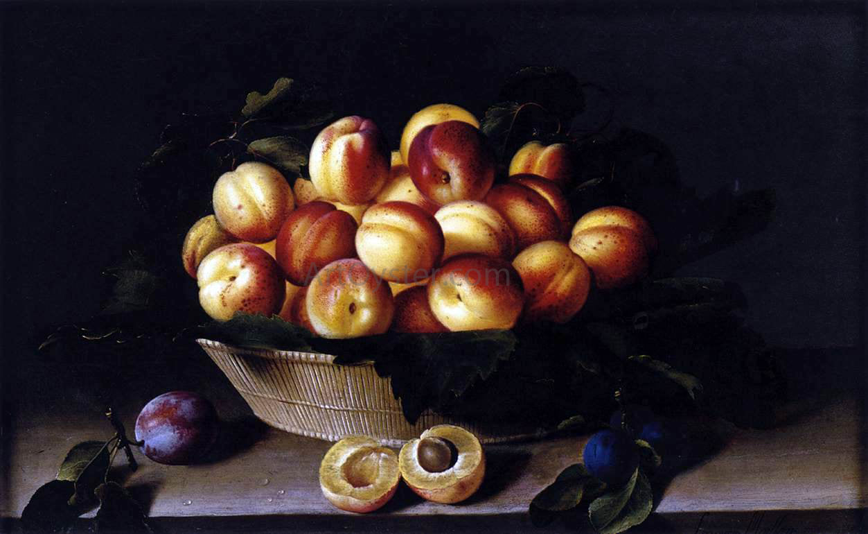 Louise Moillon Basket of Apricots - Canvas Print