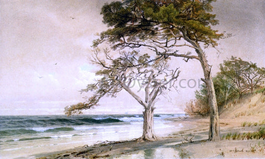 William Trost Richards Beach Scene, Trouville-sur-Mer - Canvas Print