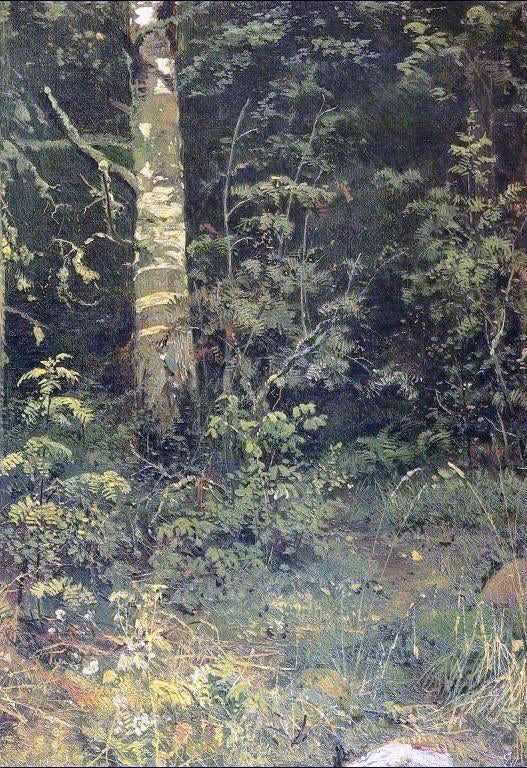 Ivan Ivanovich Shishkin Birch and Pocks (etude) - Canvas Print