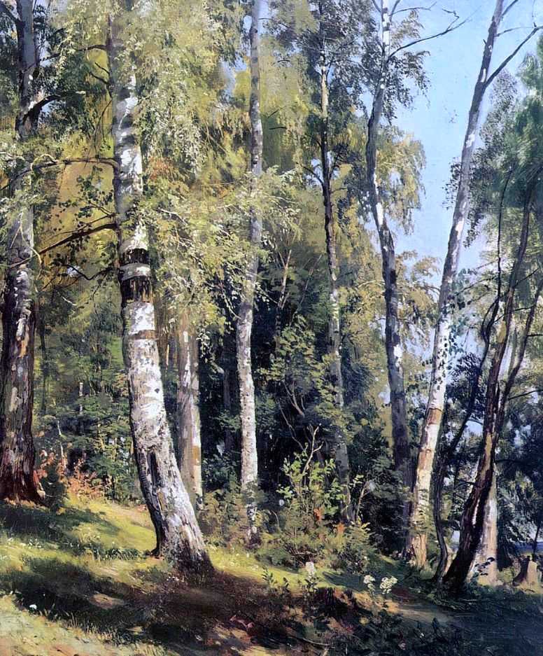 Ivan Ivanovich Shishkin Birch Grove - Canvas Print