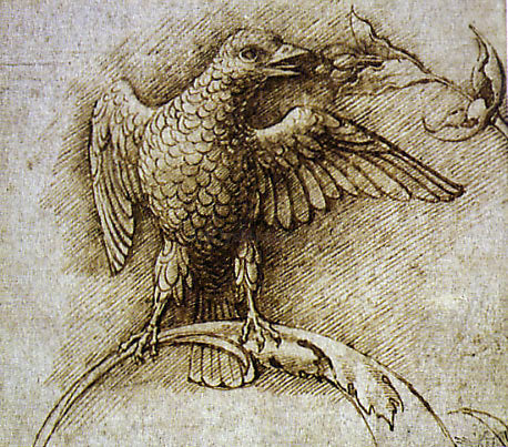 Andrea Mantegna Bird on a Branch - Canvas Print