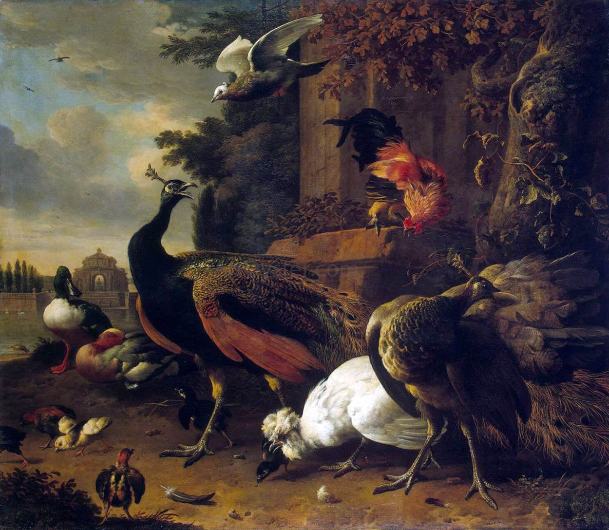 Melchior D'Hondecoeter Birds in a Park - Canvas Print
