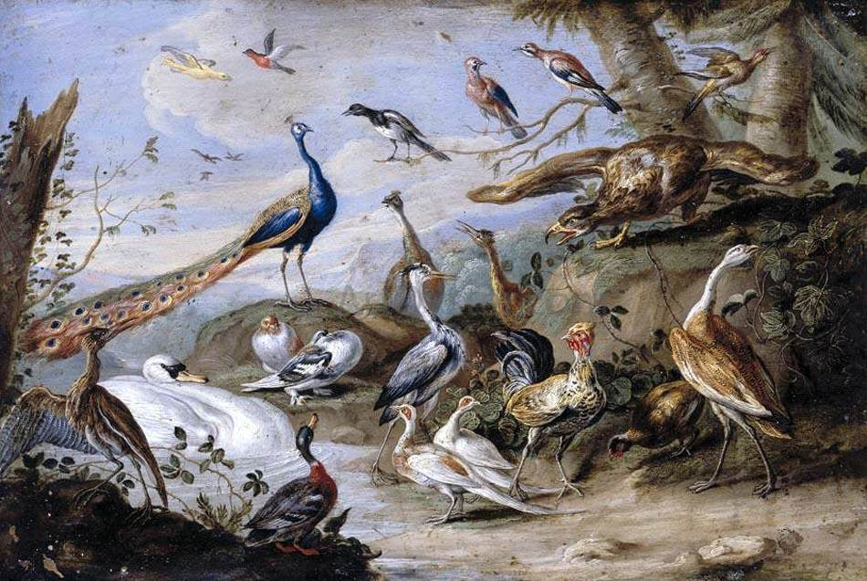 Jan Van I Kessel Birds on a Riverbank - Canvas Print