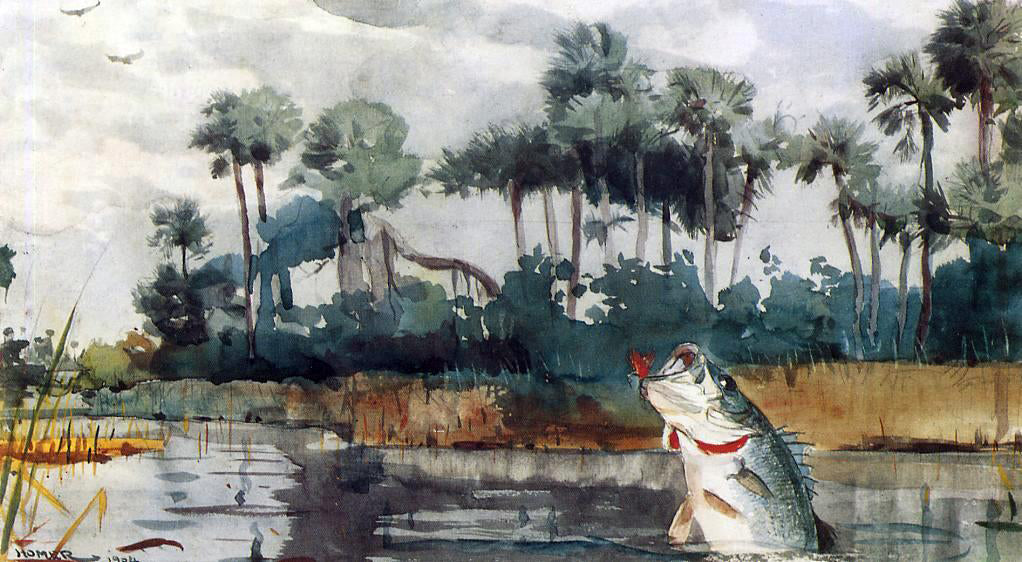 Winslow Homer Black Bass, Florida - Canvas Print