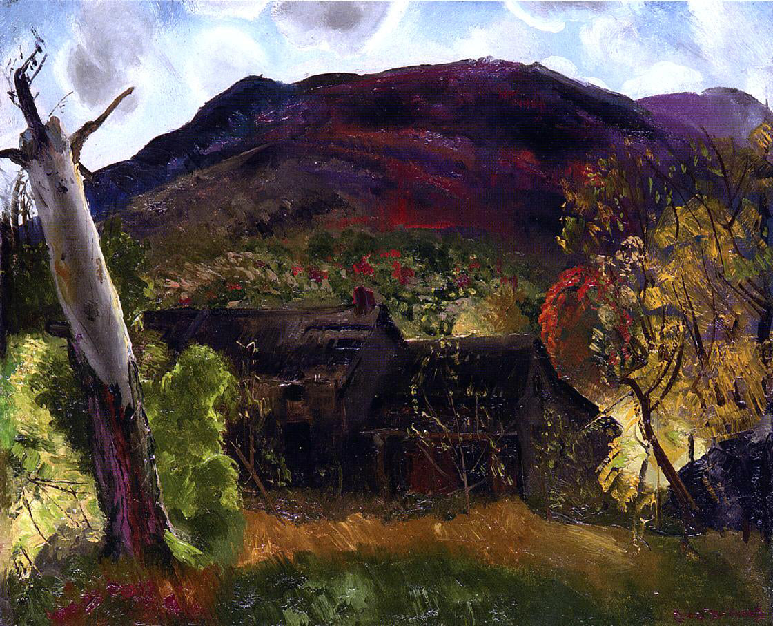 George Wesley Bellows Blasted Tree and Deserted House - Canvas Print