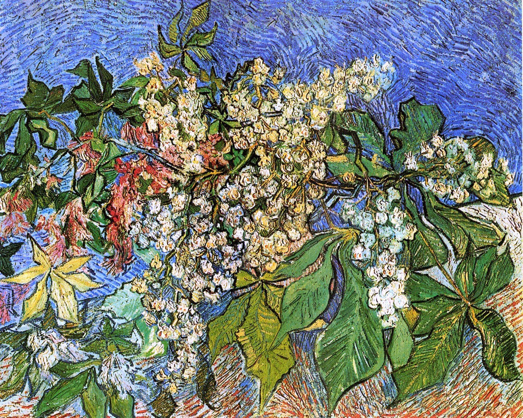 Vincent Van Gogh Blossoming Chestnut Branches - Canvas Print