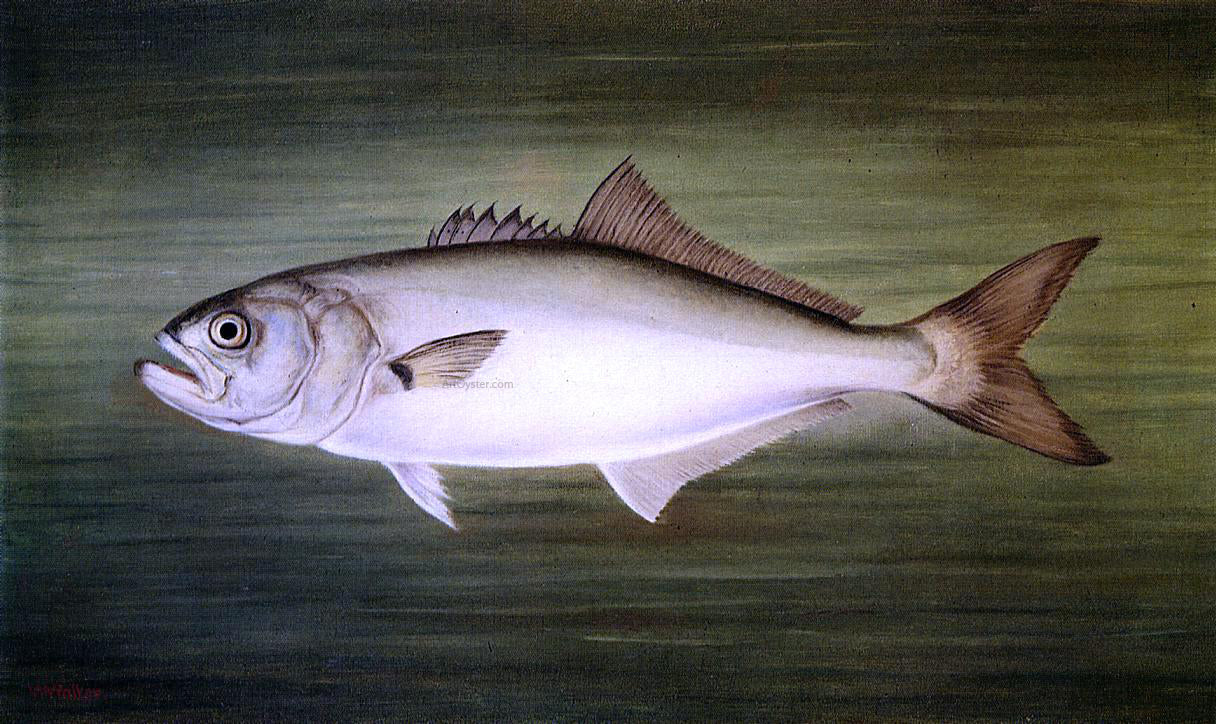 William Aiken Walker Blue Fish - Canvas Print