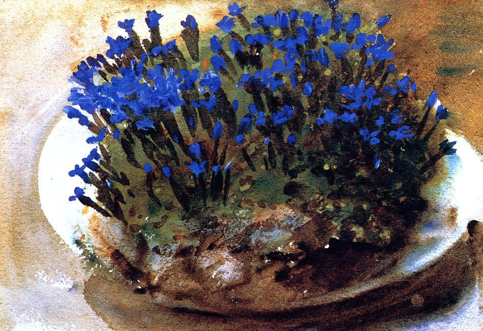 John Singer Sargent Blue Gentians - Canvas Print
