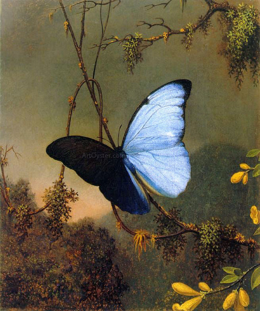 Martin Johnson Heade Blue Morpho Butterfly - Canvas Print
