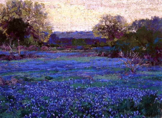 Julian Onderdonk Bluebonnets on a Grey Day - Canvas Print