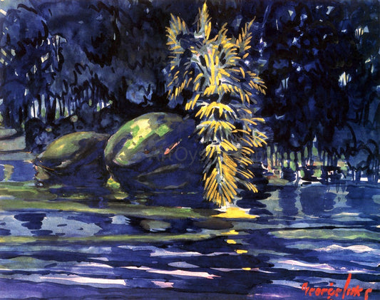 George Luks Boulders on a Riverbank - Canvas Print