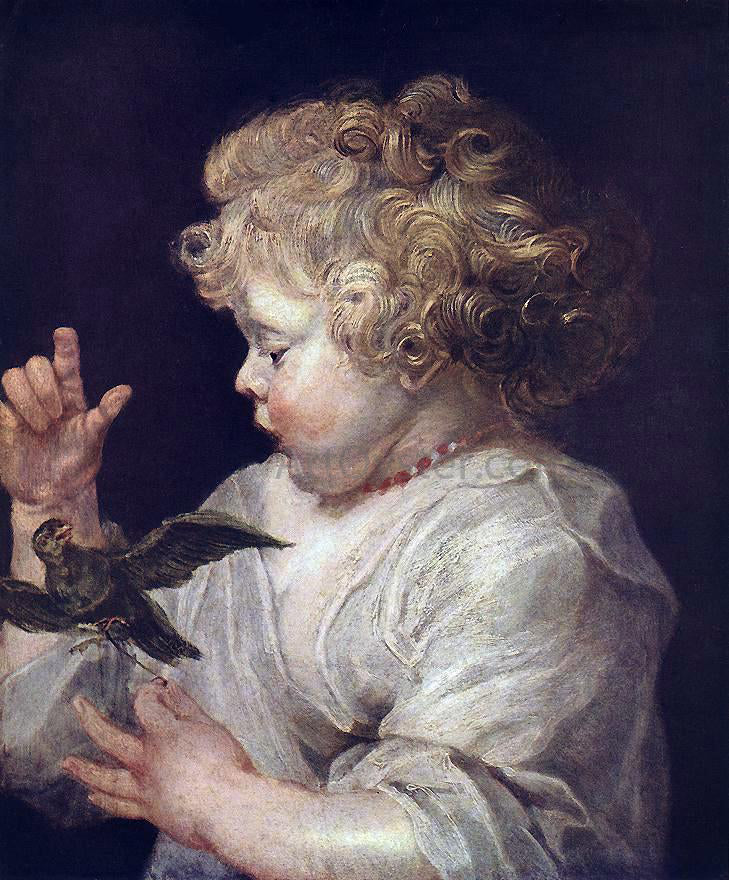 Peter Paul Rubens Boy with Bird - Canvas Print