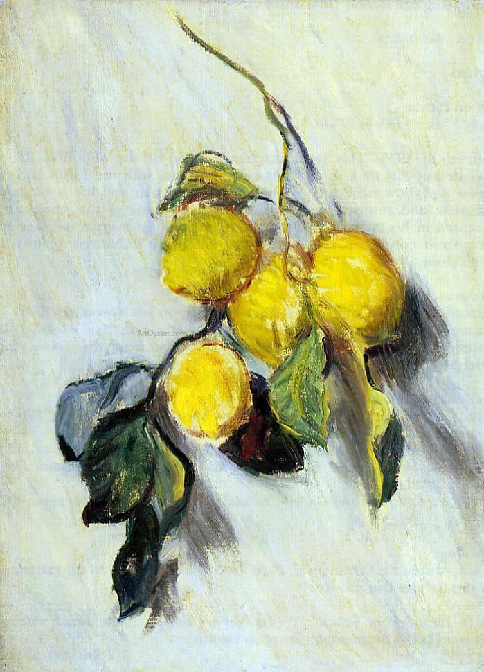 Claude Oscar Monet Branch of Lemons - Canvas Print