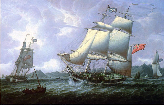 Robert Salmon British Schooners - Canvas Print