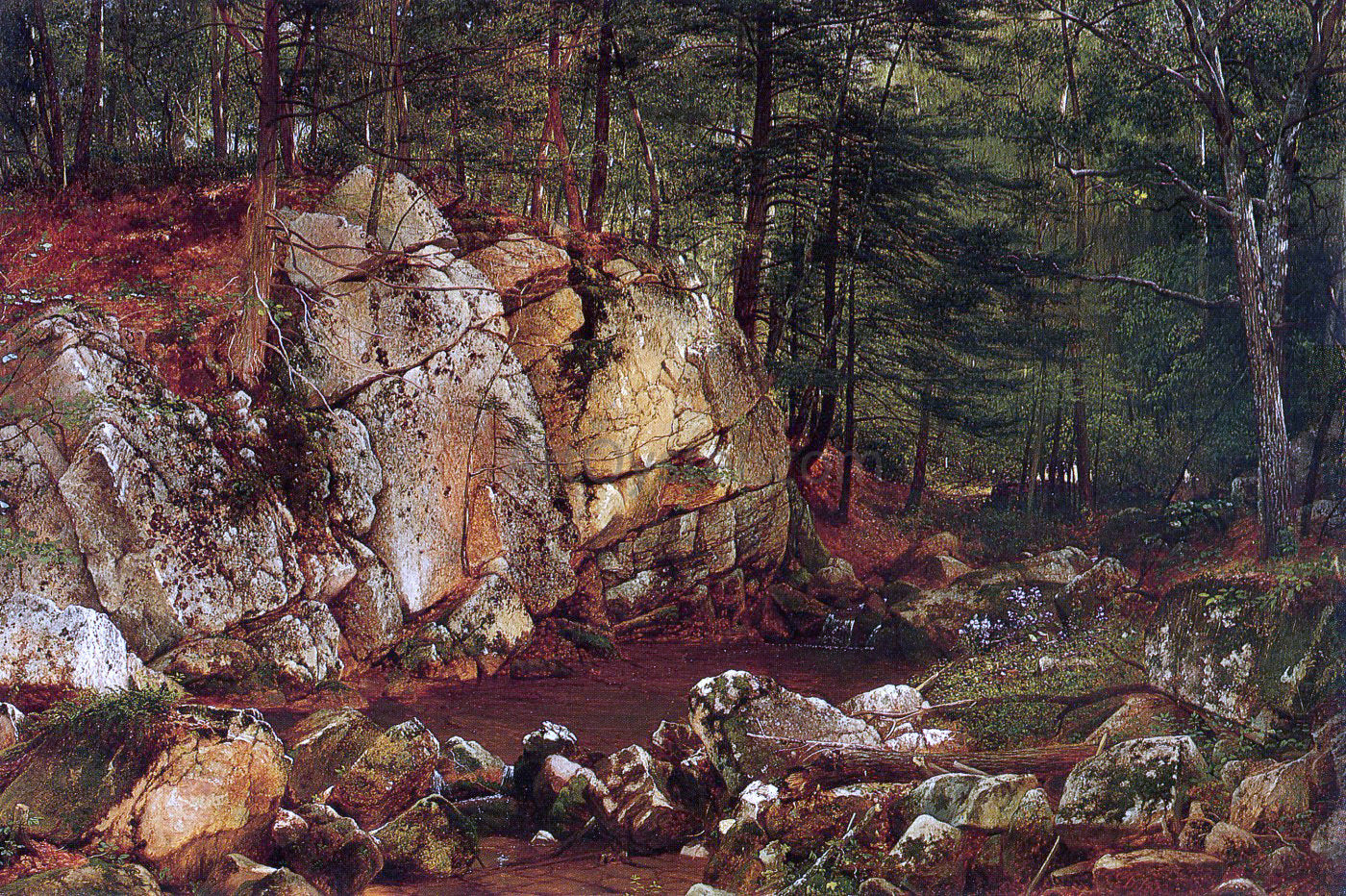 David Johnson Brook Study at Warwick - Canvas Print