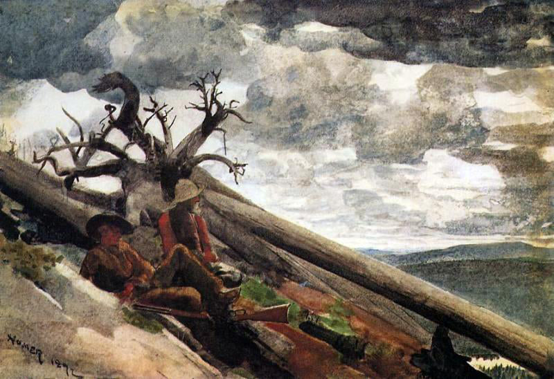 Winslow Homer Burnt Mountain - Canvas Print