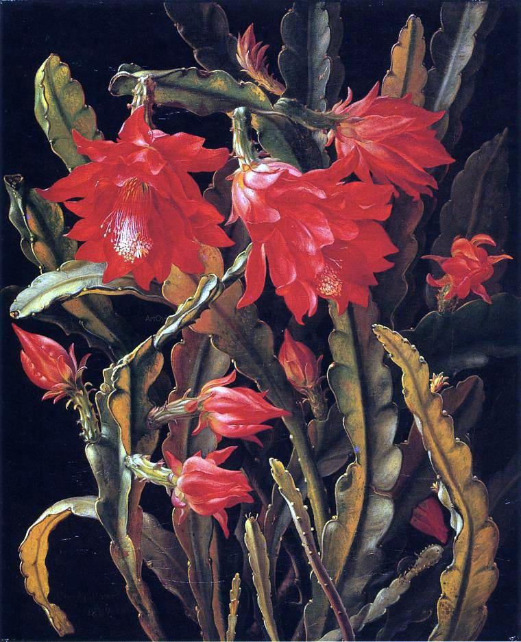 Christian Juel Mollback Cactus with Scarlet Blossoms - Canvas Print