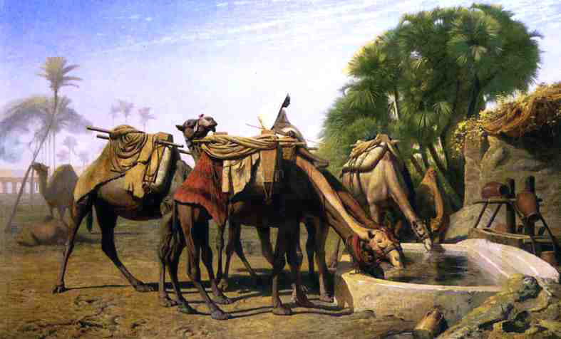 Jean-Leon Gerome Camels at a Watering Trough - Canvas Print