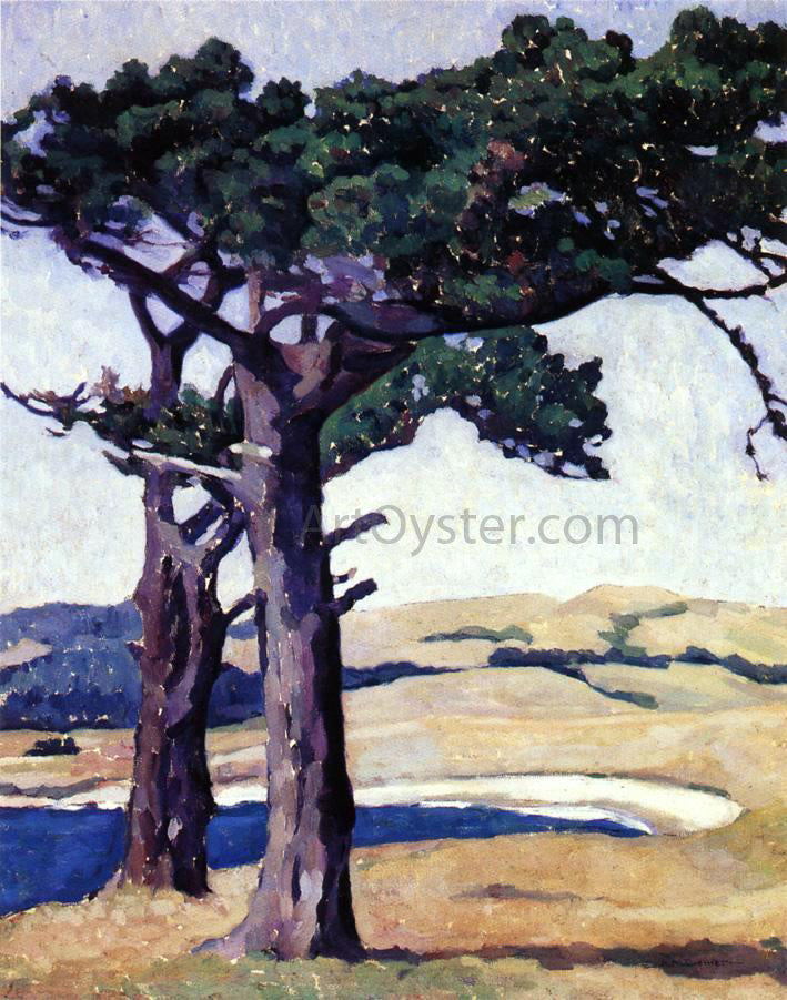 Anne Bremer Carmel - Canvas Print
