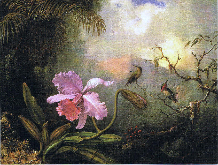 Martin Johnson Heade Carrleya Orchid with Two Hummingbirds - Canvas Print