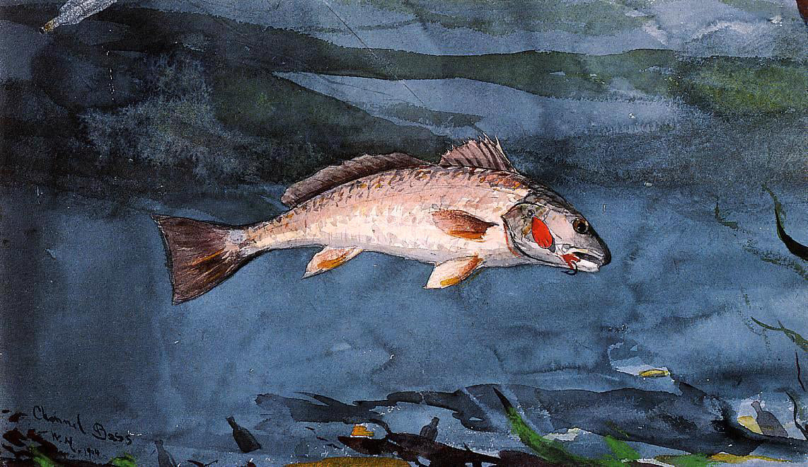 Winslow Homer Channel Bass, Florida - Canvas Print