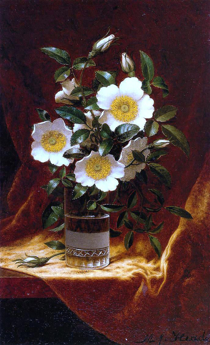 Martin Johnson Heade Cherokee Roses in a Glass - Canvas Print