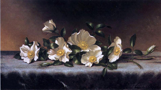 Martin Johnson Heade Cherokee Roses on a Light Gray Cloth - Canvas Print