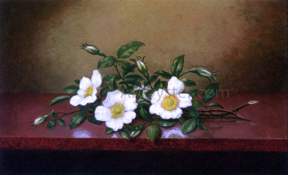 Martin Johnson Heade Cherokee Roses on a Shiney Table - Canvas Print